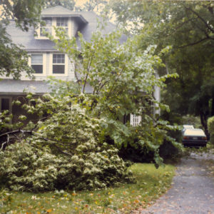 scan0107-2-1385x1922-Master.jpg