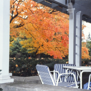 scan0111-1-1372x1941.jpg