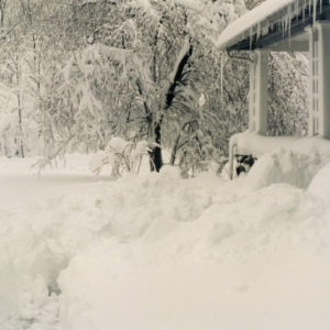 scan0200-3.jpg