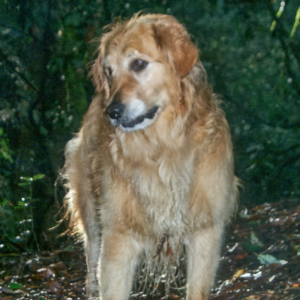 P0000621-Master.jpg