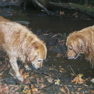 P0000813.jpg