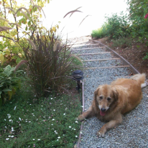 P0000830.jpg