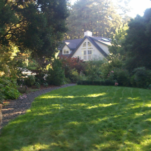 P0000835.jpg