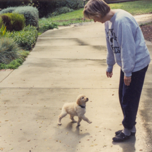 scan0252-2.jpg